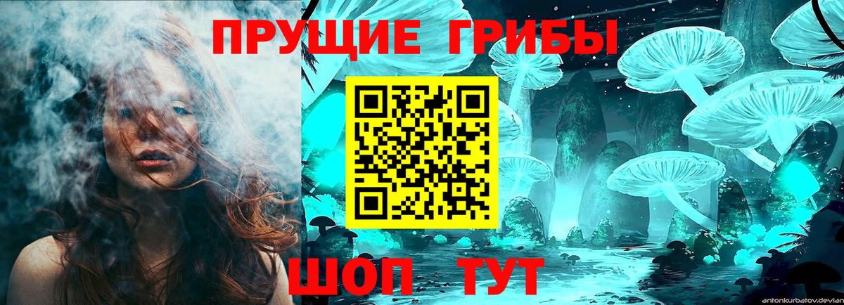 Димитровград  Галлюциногенные грибы MAGIC MUSHROOMS  Вход с VPN 
