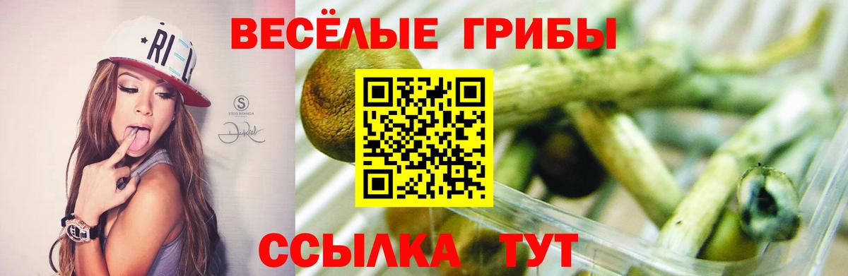 Галлюциногенные грибы MAGIC MUSHROOMS Димитровград